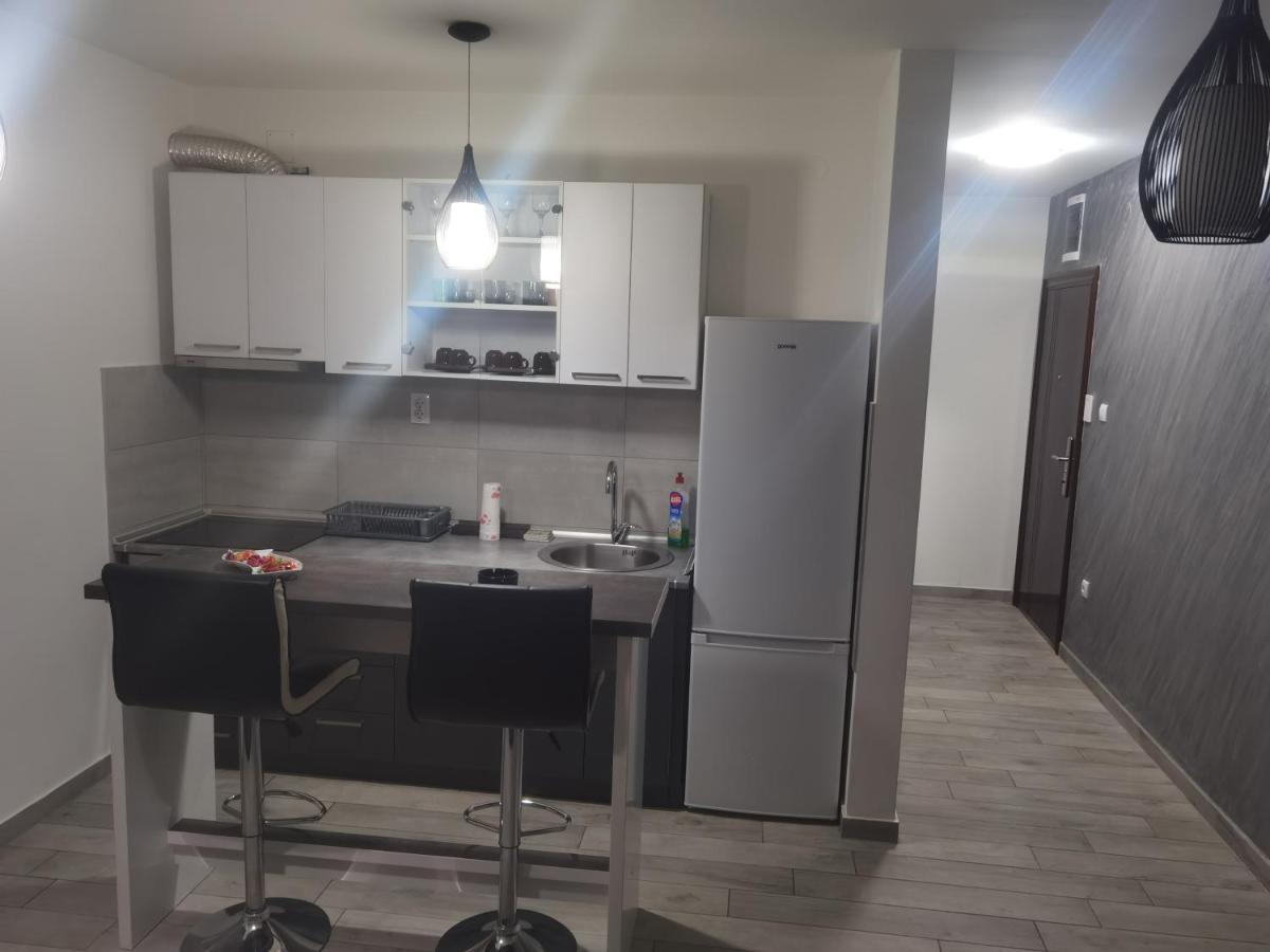 Appartement Danica à Sremska Mitrovica Extérieur photo