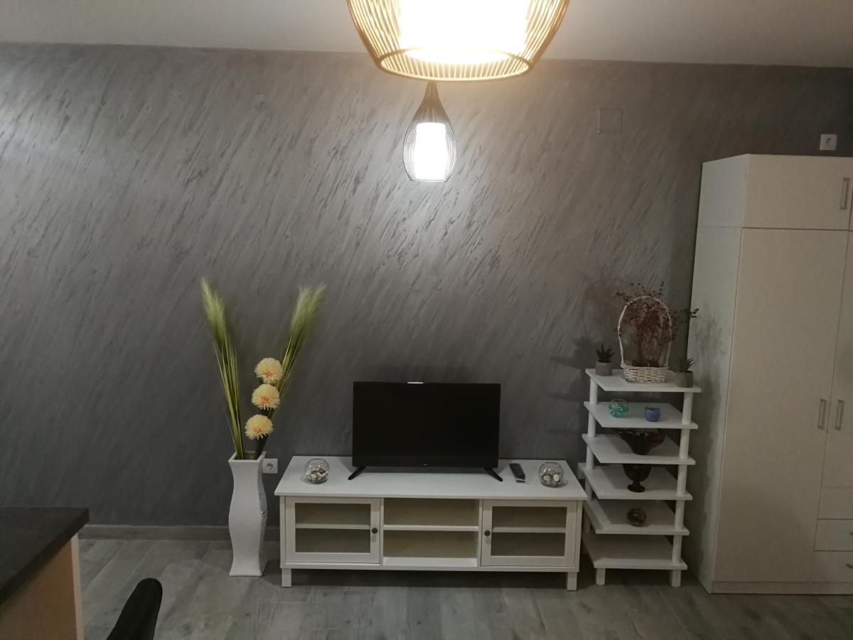 Appartement Danica à Sremska Mitrovica Extérieur photo