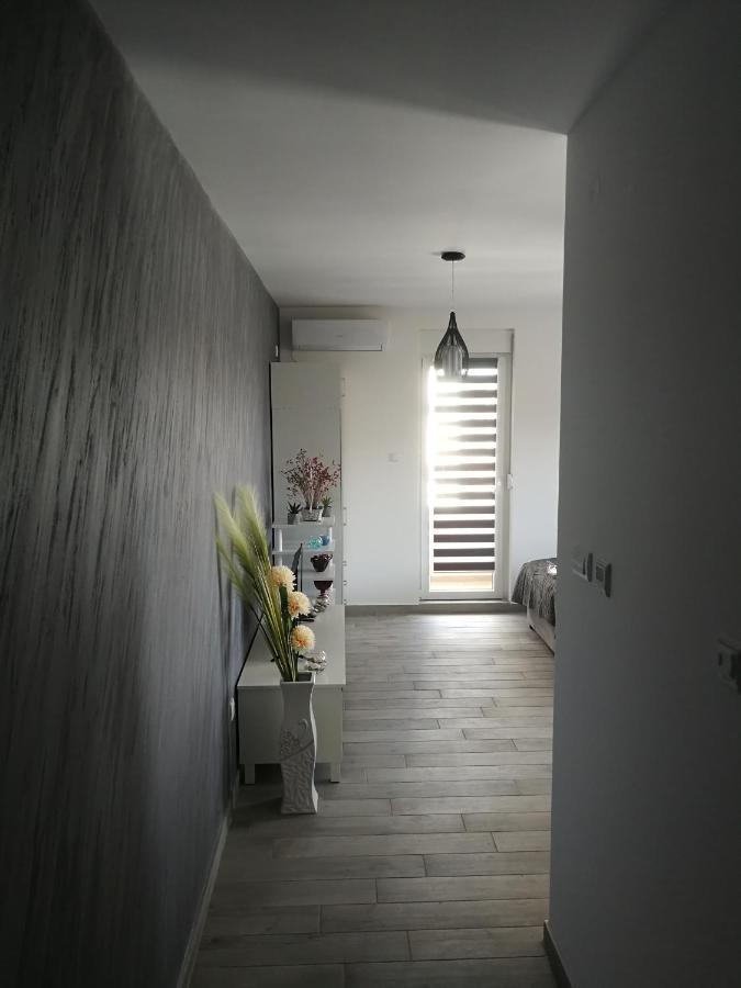 Appartement Danica à Sremska Mitrovica Extérieur photo