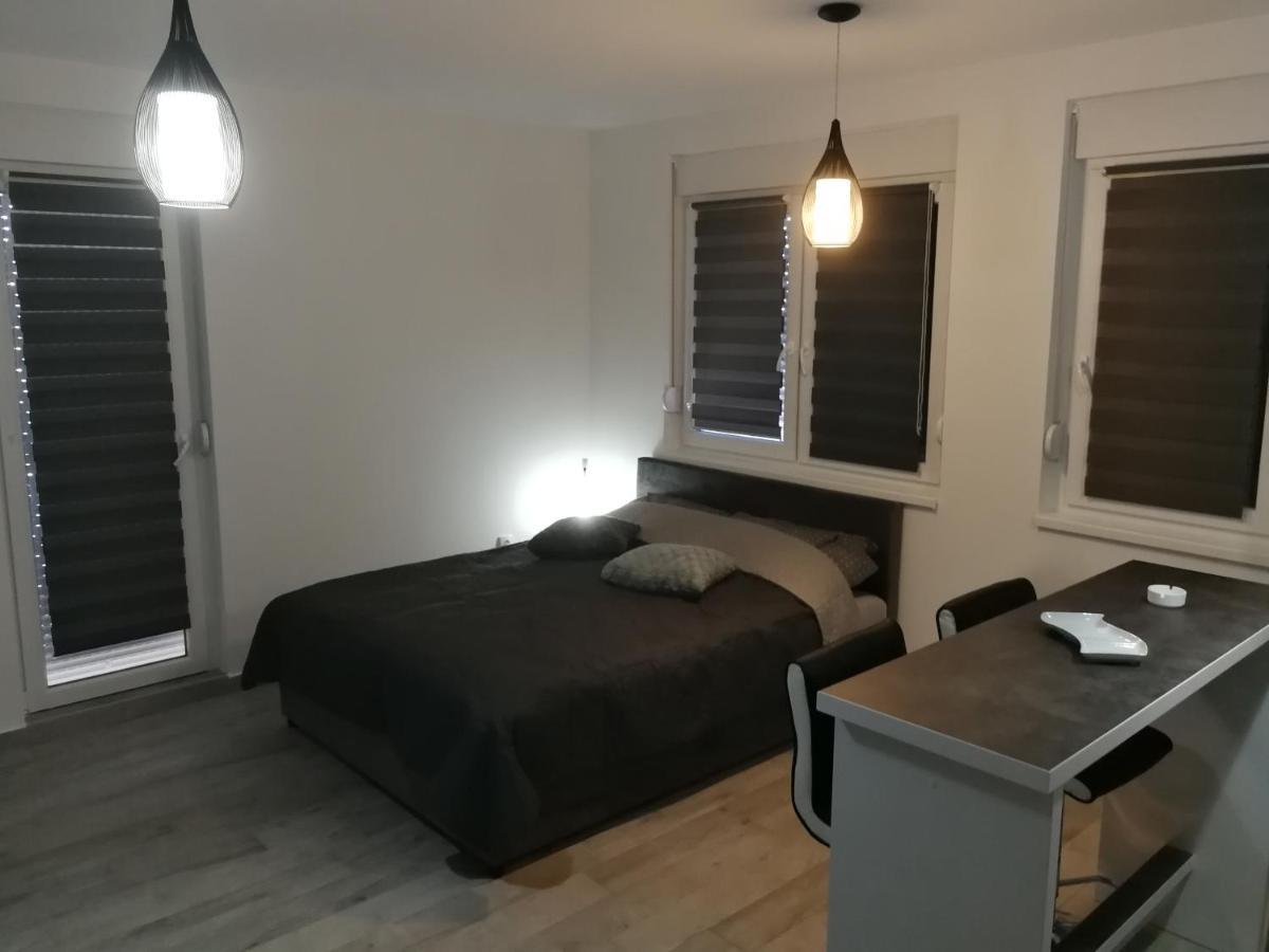 Appartement Danica à Sremska Mitrovica Extérieur photo